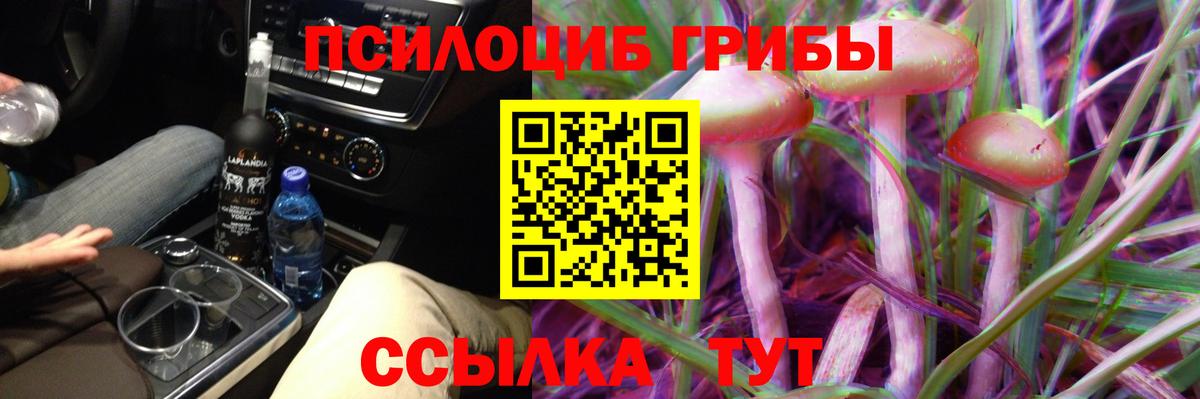 Галлюциногенные грибы прущие грибы Тобольск